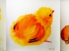 mcb_poussins_aquarelle