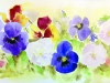 tableau-aquarelle-fleurs