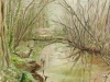 Paysage
